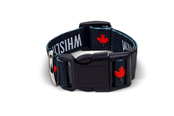 WHISLIFE Dog Collar