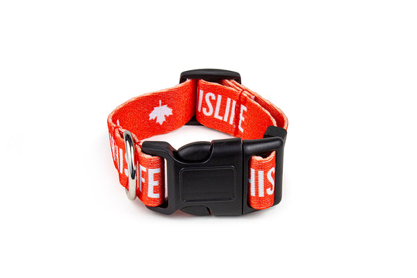 WHISLIFE Dog Collar