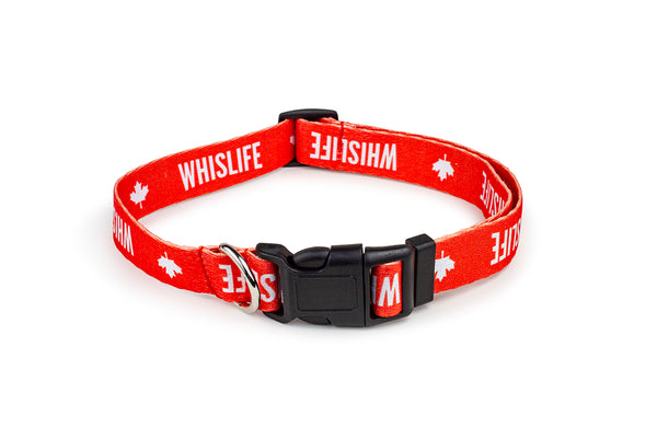 WHISLIFE Dog Collar