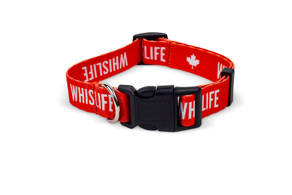 WHISLIFE Dog Collar