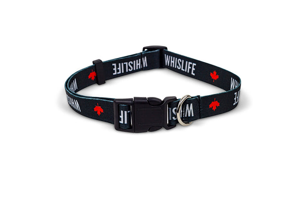 WHISLIFE Dog Collar