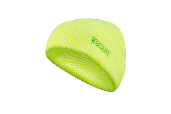 Winter Toque - Neon